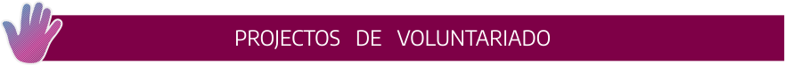 projetosVoluntario