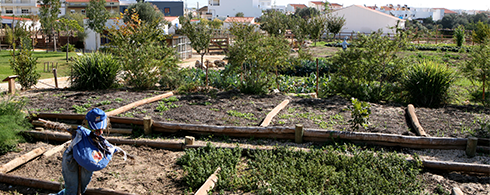 FotoQuinta3