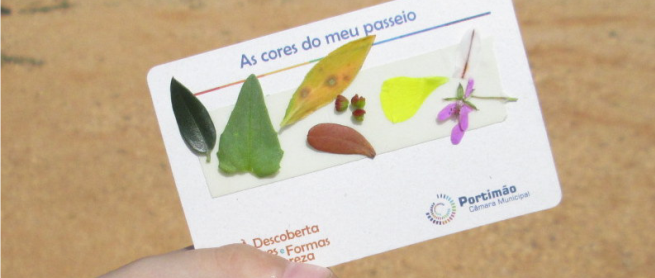 Cores-e-Formas-da-Natureza-4