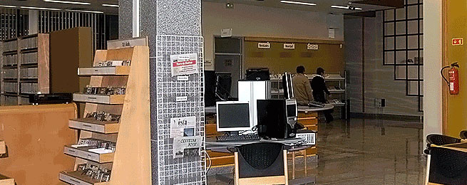Consulta-local-de-periodicos
