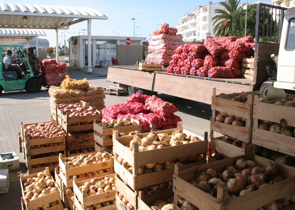 Foto Mercado Grosso